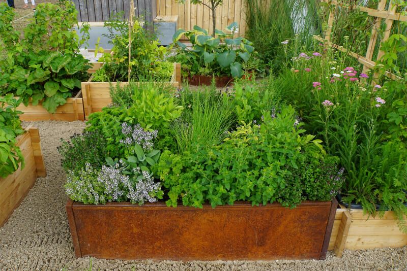 25 Outdoor Herb Garden Ideas For A Healthy Aromatic Crop All Year Long - Shrubhub