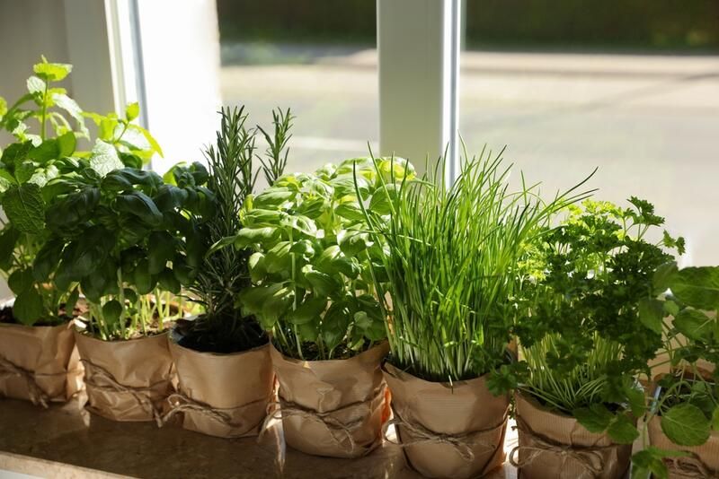 25 Outdoor Herb Garden Ideas For A Healthy Aromatic Crop All Year Long - Shrubhub