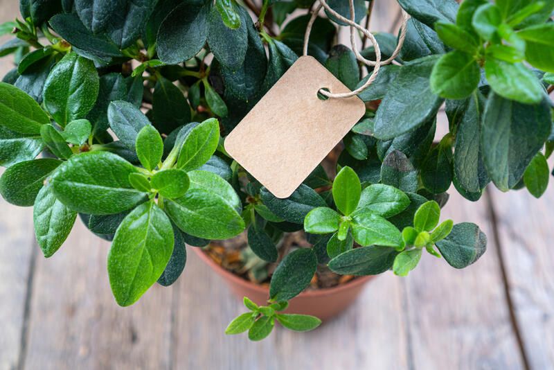25 Outdoor Herb Garden Ideas For A Healthy Aromatic Crop All Year Long - Shrubhub