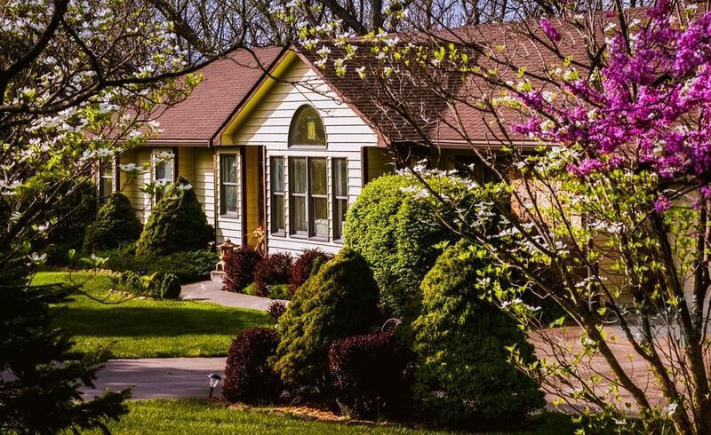 The Beauty of Pink Flowering Spring Trees - Landscaping Ideas & Care Tips - Shrubhub