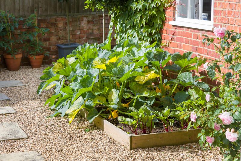 The Greatest Minimalist Garden Ideas - Shrubhub