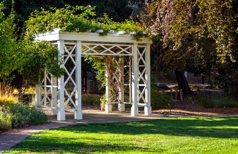 The Best Ideas For Pergola Covers - Shrubhub