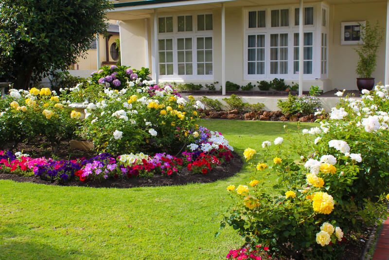 15 Yard Landscaping Ideas For Unique Outdoor Spaces - Shrubhub