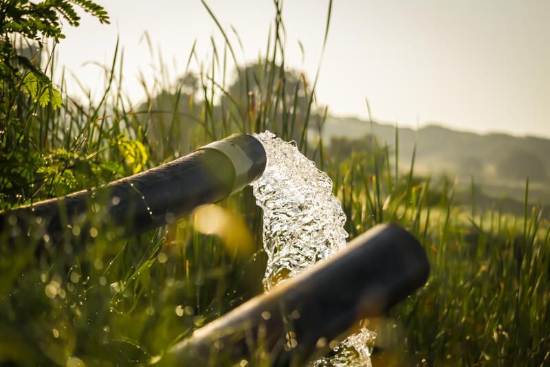 French Drain: A Stylish Solution to Your Drainage Needs - Shrubhub