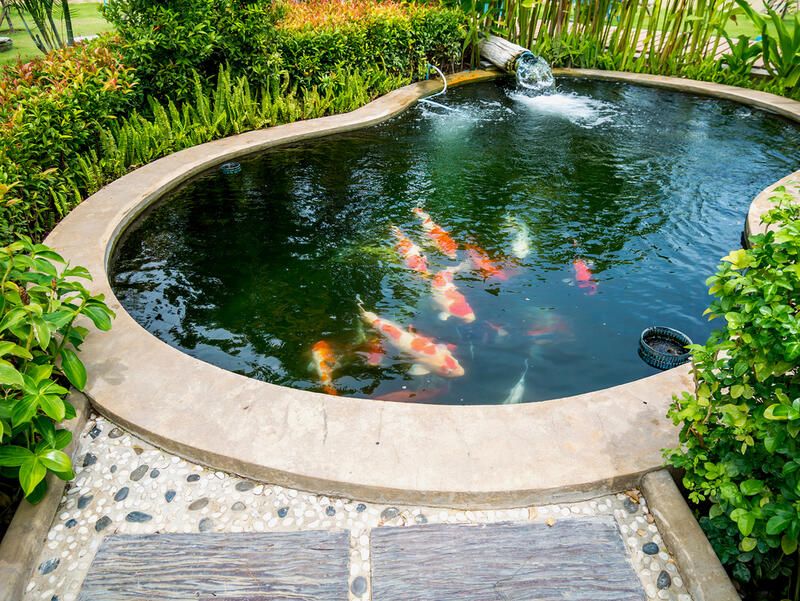 Brilliant Koi Pond Design Ideas for a Breath-taking Makeover - Shrubhub