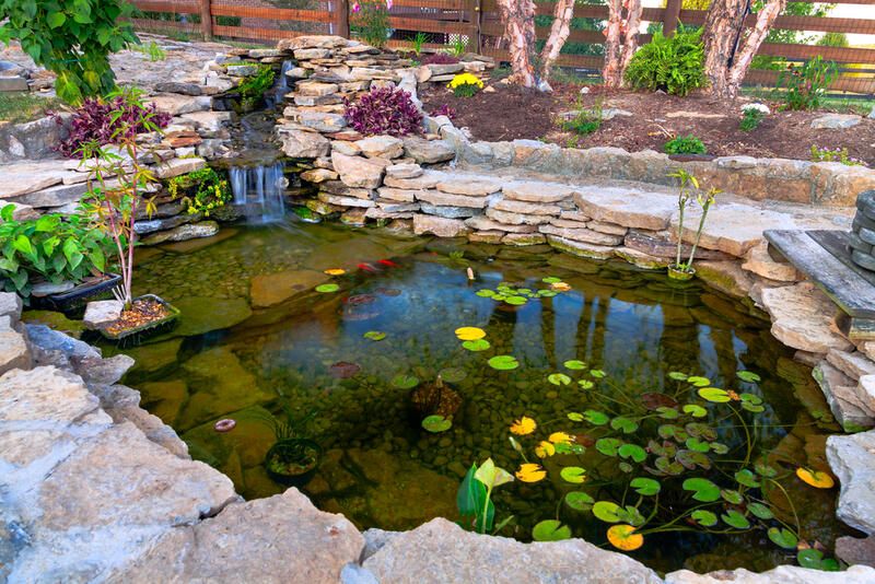 Brilliant Koi Pond Design Ideas for a Breath-taking Makeover - Shrubhub