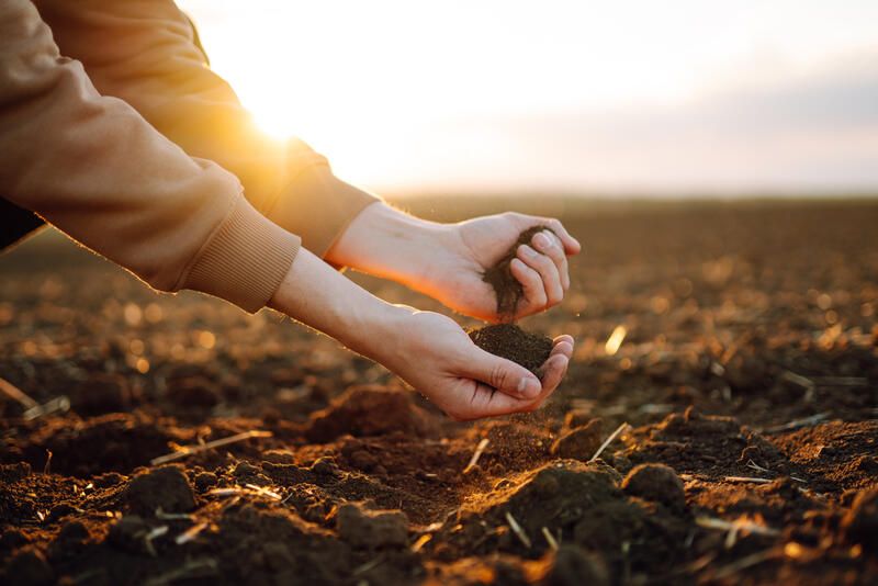 Know Your Garden: The World of Dirt & Their Types of Soil - Shrubhub