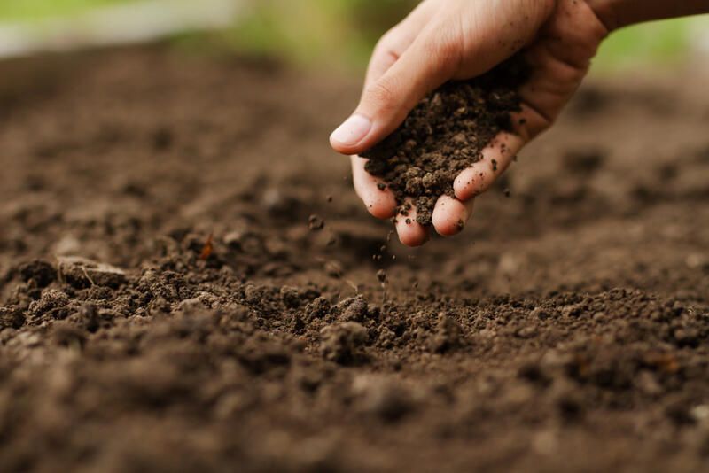 Know Your Garden: The World of Dirt & Their Types of Soil - Shrubhub