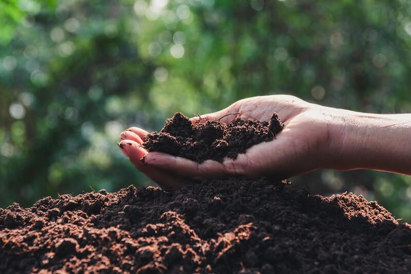 Know Your Garden: The World of Dirt & Their Types of Soil - Shrubhub