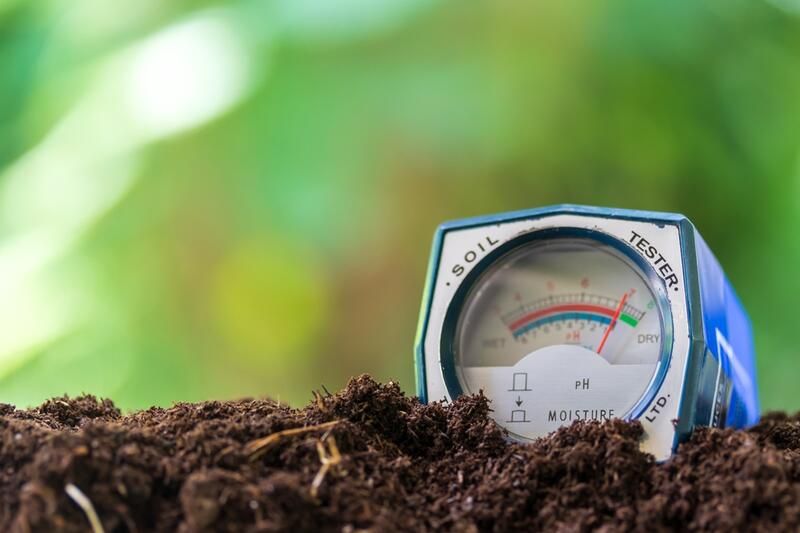 Know Your Garden: The World of Dirt & Their Types of Soil - Shrubhub