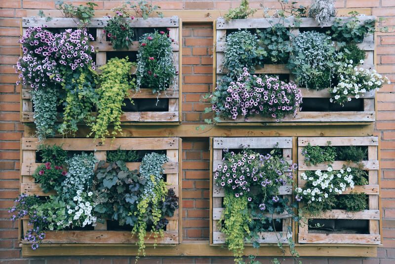 15 Balcony Edible Garden Ideas For Limited Outdoor Space - Shrubhub