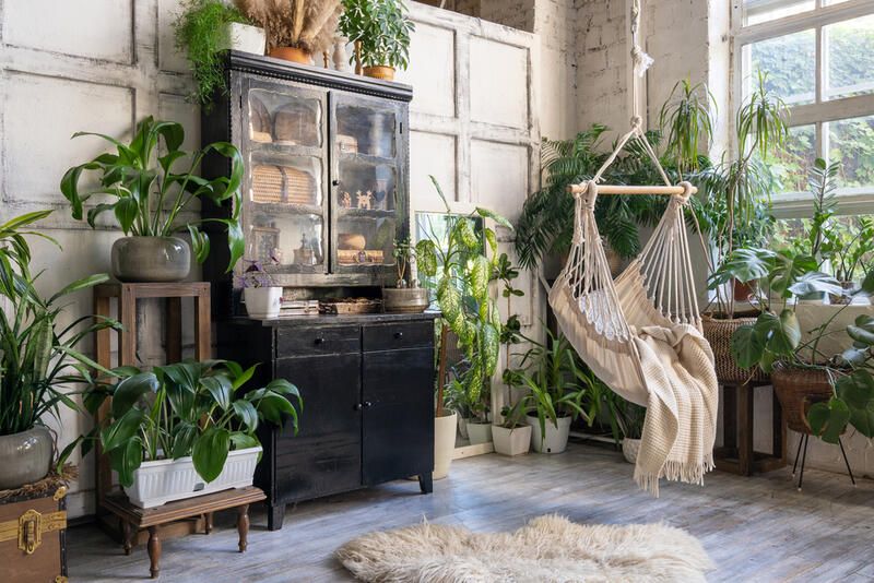 Bringing the Outdoors In: Your Indoor Garden Guide - Shrubhub