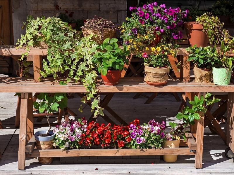 How to Set Up the Perfect Backyard Bar: Fun Ideas for Your Landscape - Shrubhub