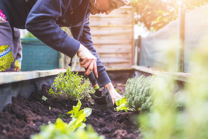 What Is No-Dig Gardening and How to Create a No-Dig Garden - Shrubhub