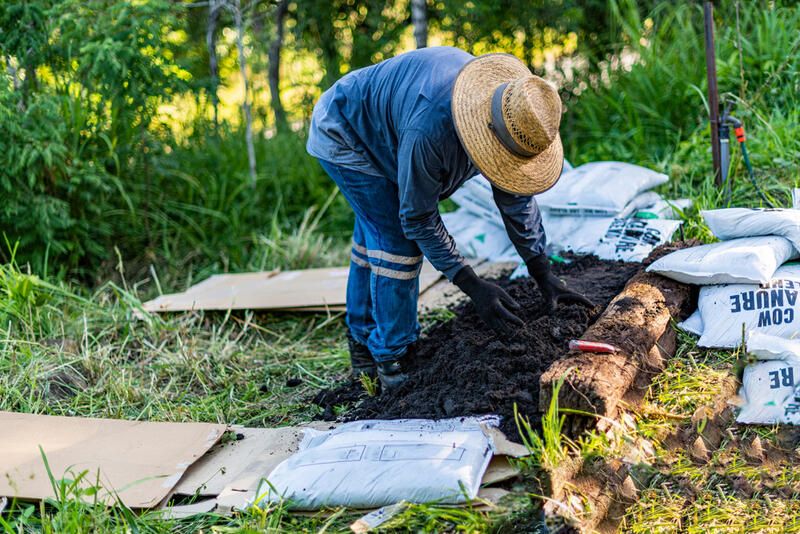 What Is No-Dig Gardening and How to Create a No-Dig Garden - Shrubhub