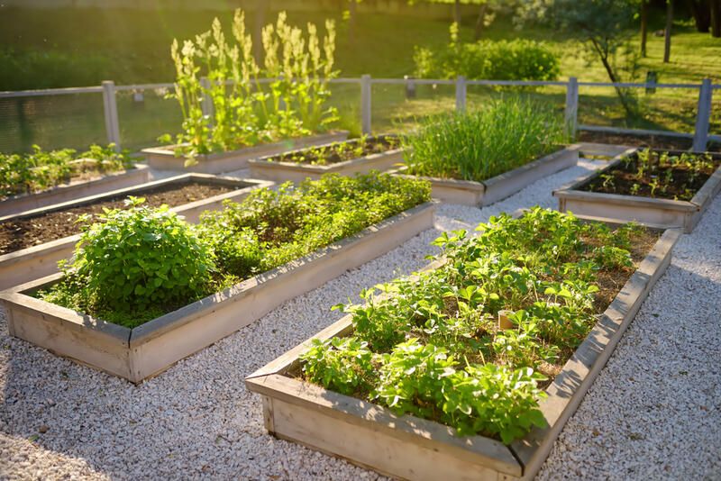 What Is No-Dig Gardening and How to Create a No-Dig Garden - Shrubhub