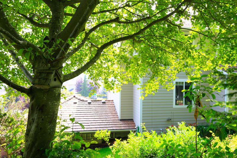 Does Landscaping Increase Home Value? - Shrubhub