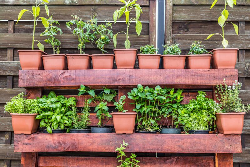 2024's Easy Garden Ideas to Transform Your Yard Landscaping - Shrubhub