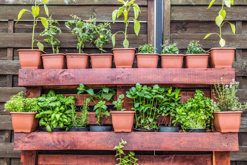 2024's Easy Garden Ideas to Transform Your Yard Landscaping - Shrubhub