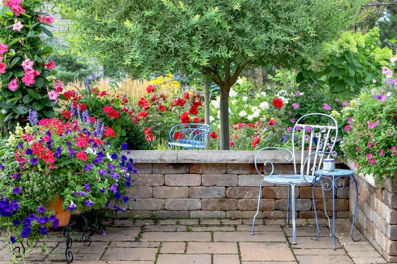 2024's Easy Garden Ideas to Transform Your Yard Landscaping - Shrubhub
