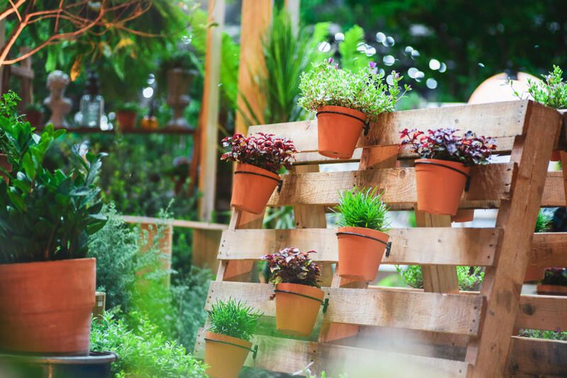 2024's Easy Garden Ideas to Transform Your Yard Landscaping - Shrubhub