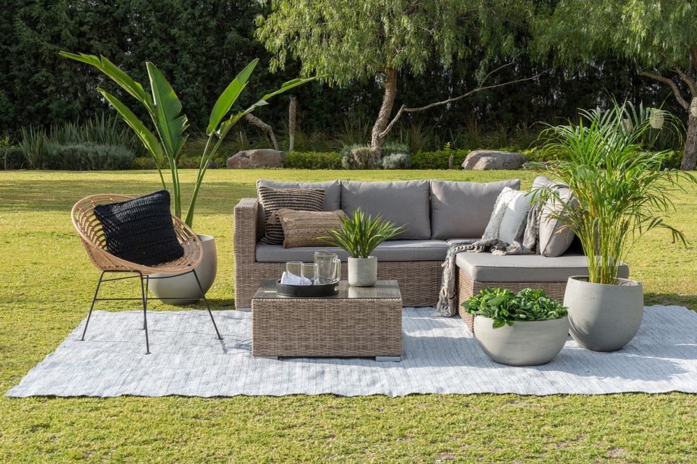 15 Best Garden Screening Ideas For A Private Outdoor Space - Shrubhub