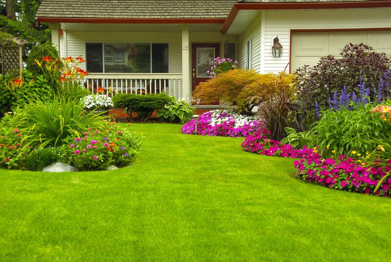 Popular North Facing Garden Ideas to Transform Your Yard - Shrubhub