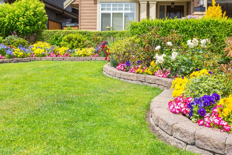 Popular North Facing Garden Ideas to Transform Your Yard - Shrubhub