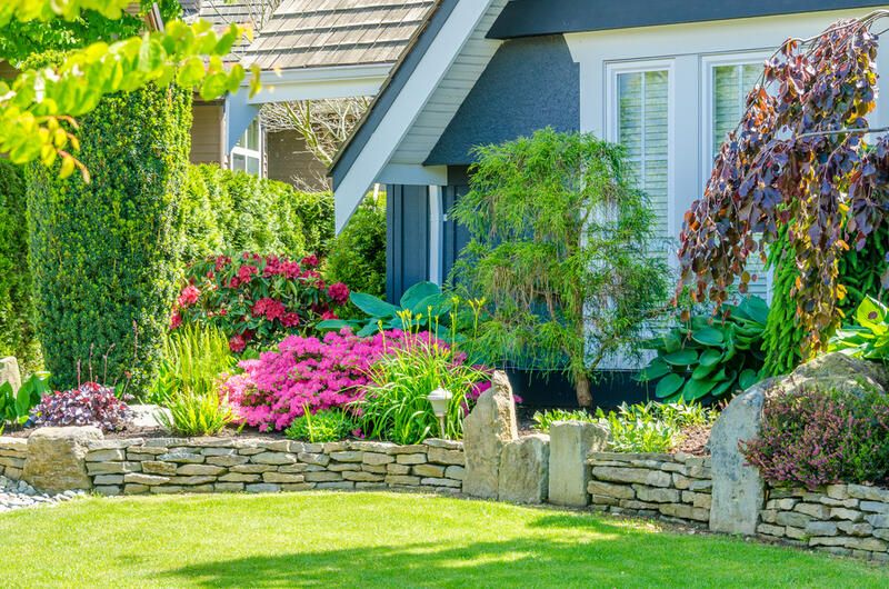 Popular North Facing Garden Ideas to Transform Your Yard - Shrubhub