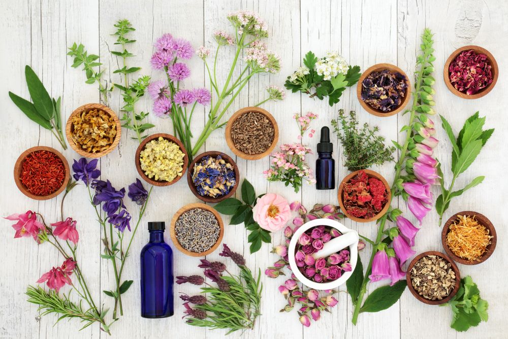 Healing Flowers – Info on Health Benefits and Uses - Shrubhub