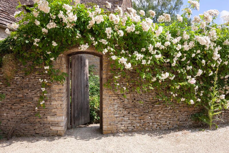 Design Tips to Help With Your Outdoor Vertical Garden - Shrubhub