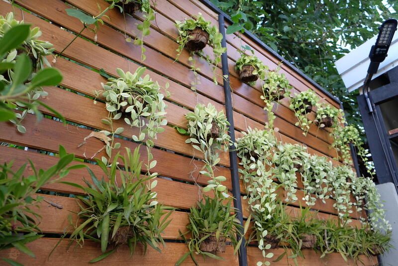Design Tips to Help With Your Outdoor Vertical Garden - Shrubhub