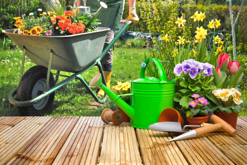 Design Tips to Help With Your Outdoor Vertical Garden - Shrubhub