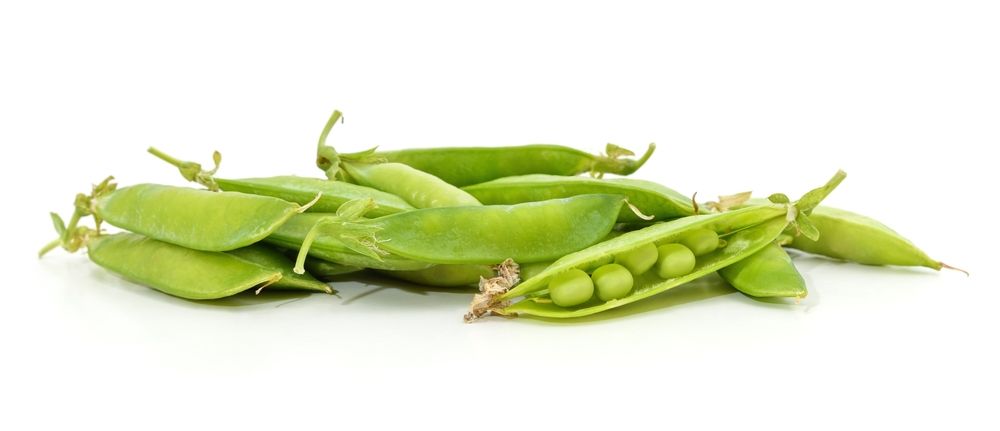 Bean Plants: Growing Instructions for Deliciously Fresh Beans  - Shrubhub