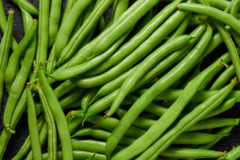 Bean Plants: Growing Instructions for Deliciously Fresh Beans  - Shrubhub