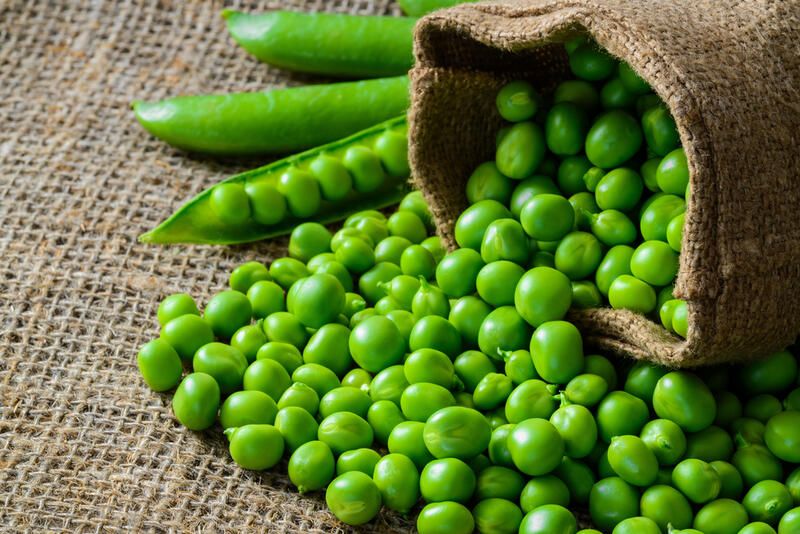 Most Popular Spring Vegetables to Plant For Your Location - Shrubhub