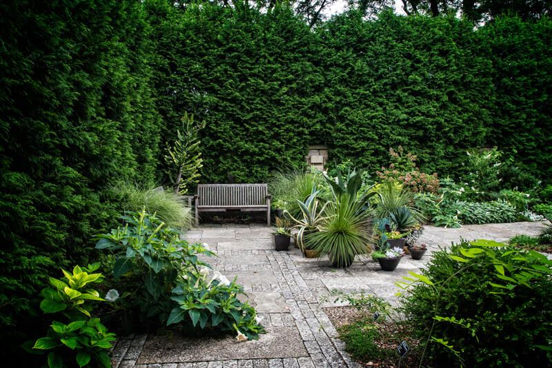 Beautiful Modern Garden Ideas for 2024 Landscaping Designs - Shrubhub