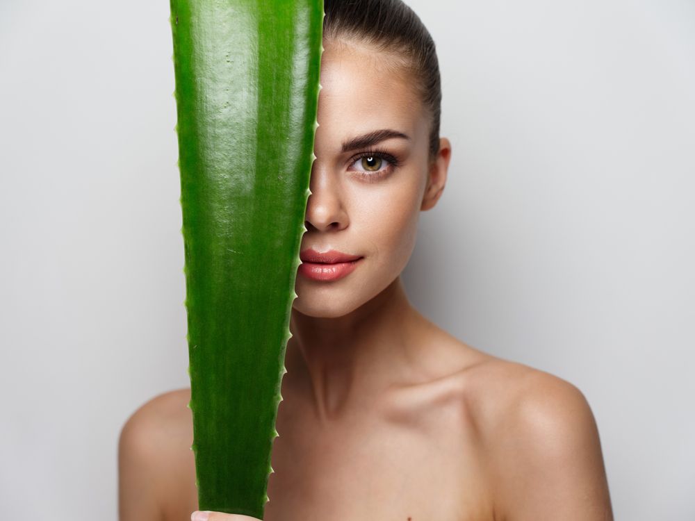 Benefits of Aloe Vera: Wound Healing to Blood Sugar Control  - Shrubhub