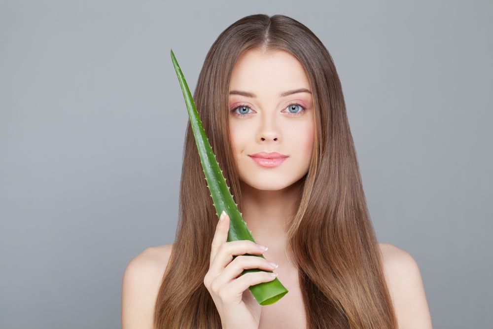 Benefits of Aloe Vera: Wound Healing to Blood Sugar Control  - Shrubhub