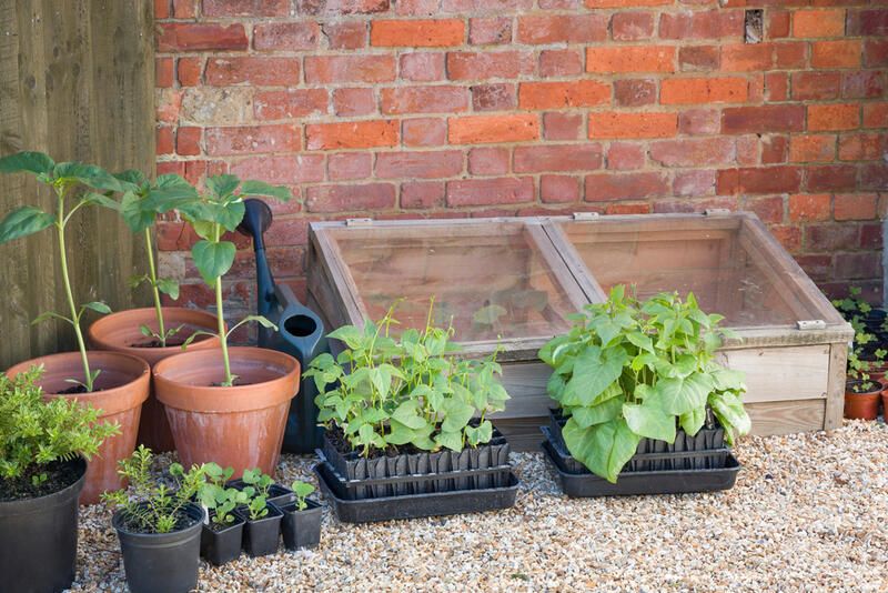 The Complete DIY Guide To Your Home Garden - Shrubhub