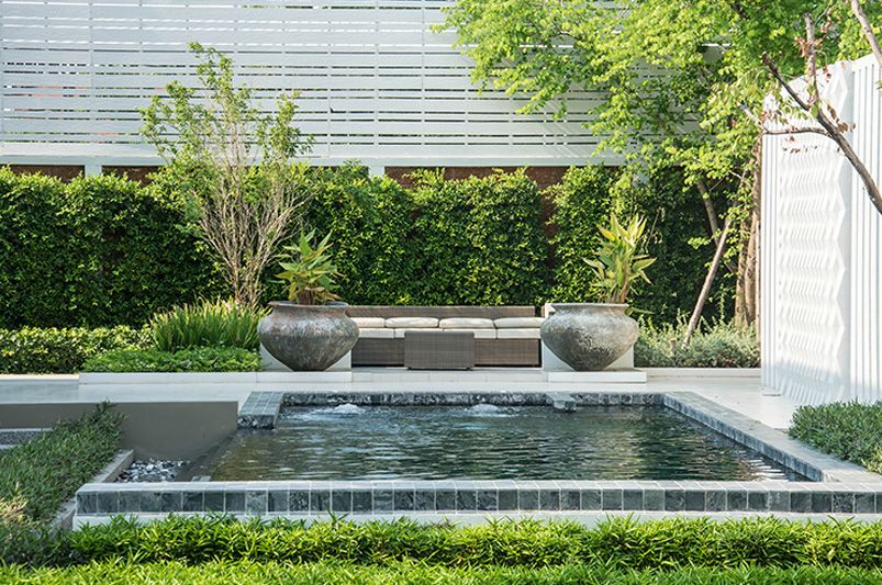 Creative Pool Ideas to Elevate Your Backyard Oasis - Shrubhub