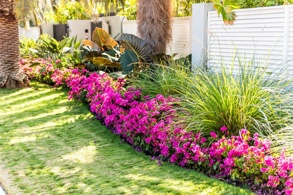 5 Inspiring Florida Landscaping Ideas to Spruce Up Your Outdoor Spaces - Shrubhub