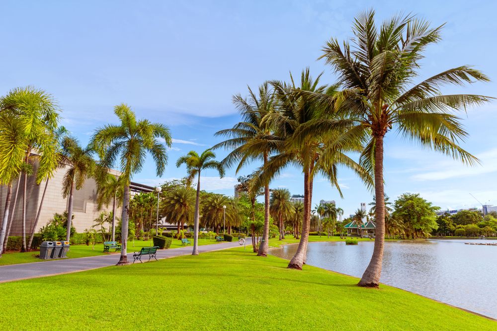 5 Inspiring Florida Landscaping Ideas to Spruce Up Your Outdoor Spaces - Shrubhub