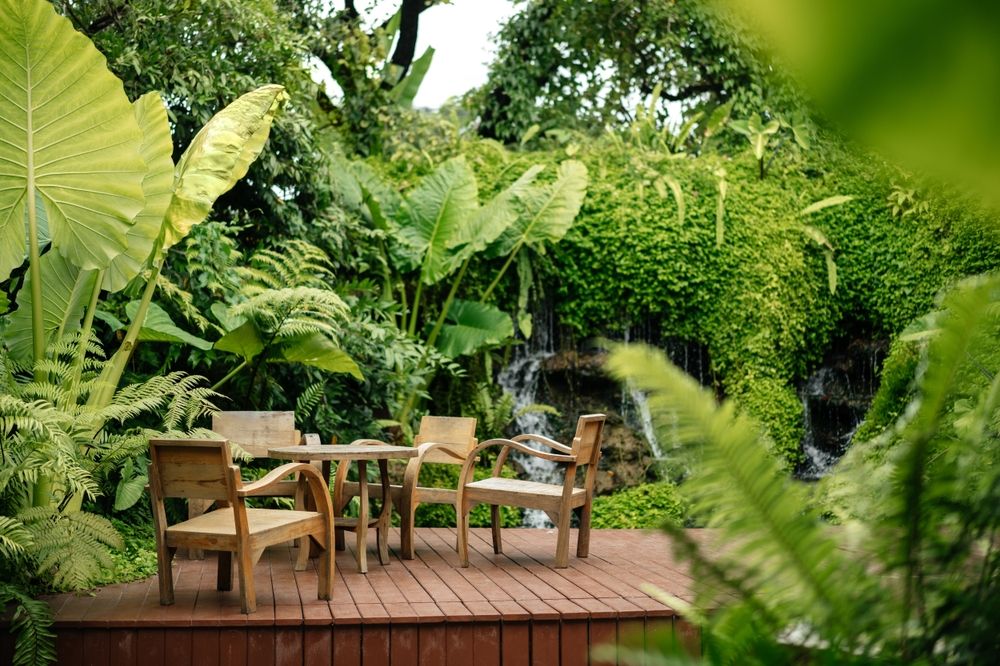 5 Inspiring Florida Landscaping Ideas to Spruce Up Your Outdoor Spaces - Shrubhub