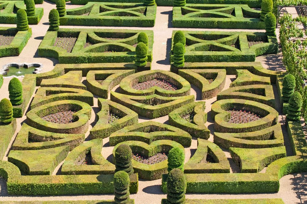 French Garden Landscape Design: Where History, Culture, & Nature Flourish - Shrubhub