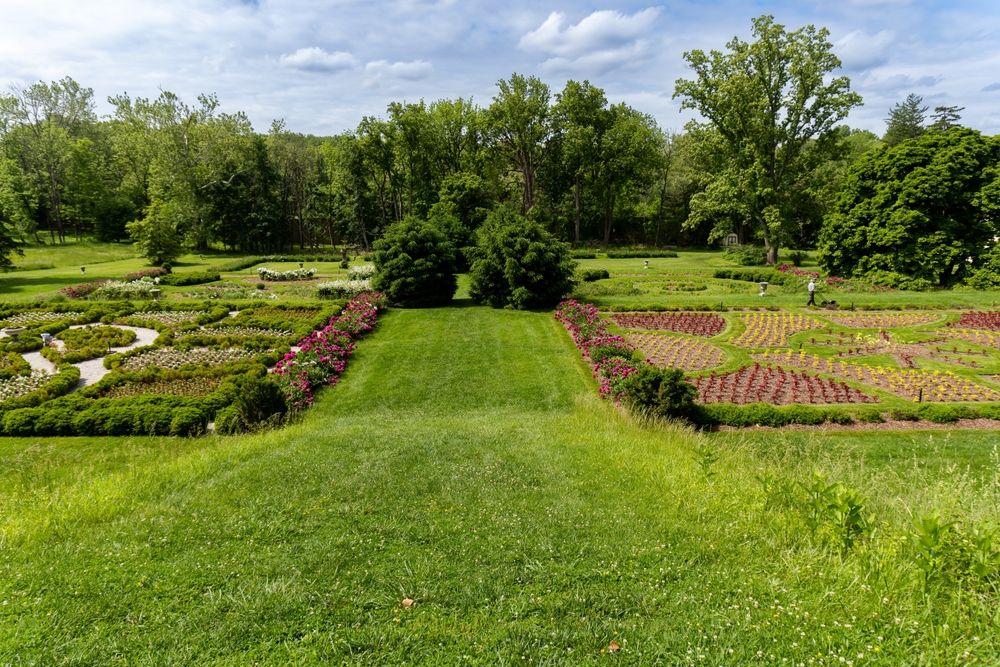 How to Introduce Victorian Gardening into Your Landscape - Shrubhub