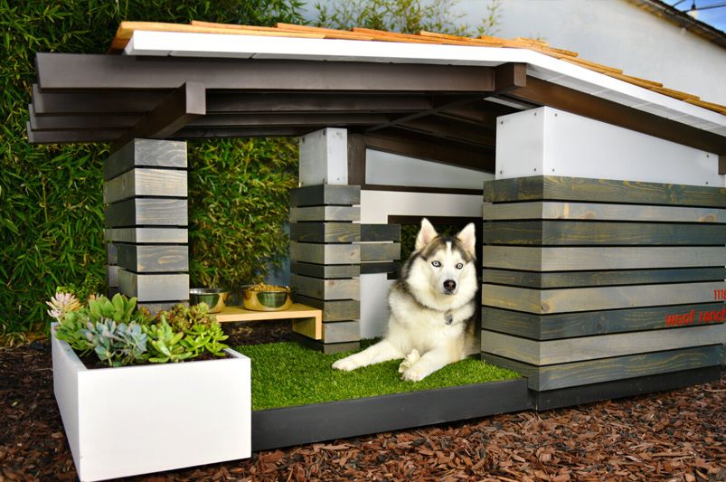 Planning The Ultimate Pet Friendly Yard Design - Shrubhub