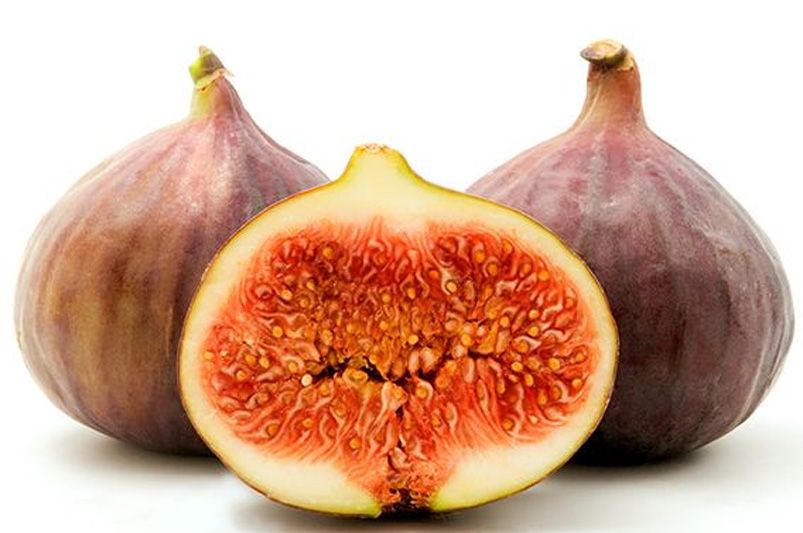 Everything You Need to Know to Grow and Care for Brown Turkey Fig Tree - Shrubhub