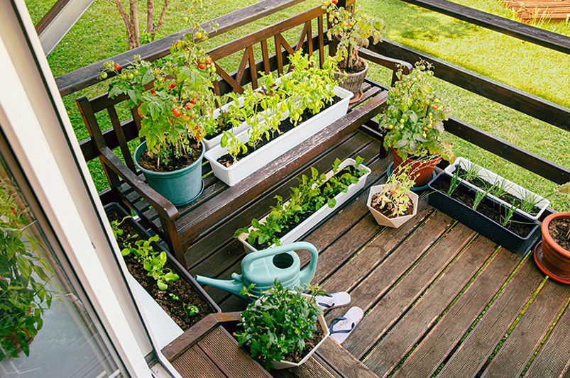 Upgrade Your Outdoor Space with DIY Garden Ideas - Shrubhub