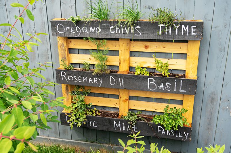 Upgrade Your Outdoor Space with DIY Garden Ideas - Shrubhub